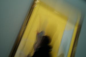Illusion 《假像》