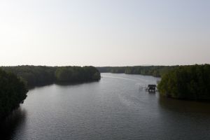 Koh Kong, Cambodia. Jan 2013. Koh Kong Conservator Corridor. One of the biggest mangrove forest in Asia.