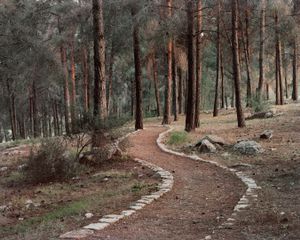 Brick Trail (Ein Zeitim)