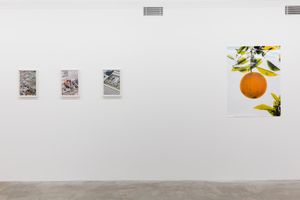 Daniel Terna & Evan Whale, Exhibition View, Courtesy LY Gallery, 2019