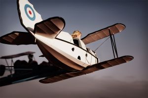 A Memory of Flight   © Seán Duggan
