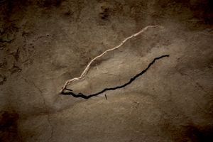 A crack in the soil (Bárdenas Reales. Spain)