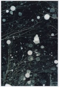First snow / Hokuto City, Yamanashi, 2010