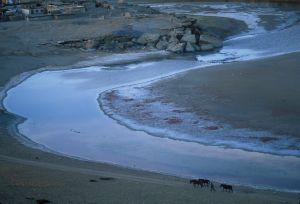 Relieved of their packs for the night, horses are led by their owner along the banks of a stream flowing into Lake Manasarovar, close to Mount Kailash. © Michael Freeman