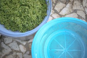 Verjuice (Verjus, called ab-ghooreh in Persian)