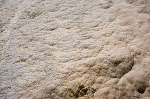 The Magical Society of Rocks #5