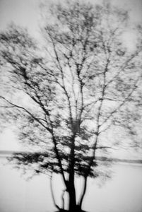 Emotional tree