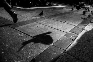 Escape from the shadows
