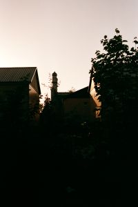 In My Hood #19
