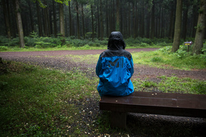 The Forgotten Forests