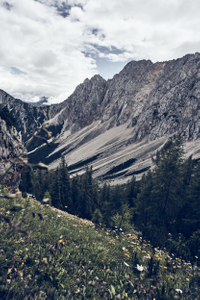 switching city-life for high altitude