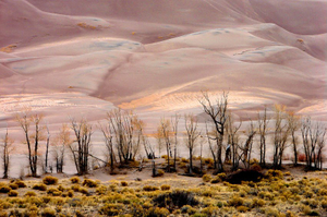 Watching sand dunes