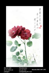 "Convalescence"  from the research "Haiku" © Roberto Spotti