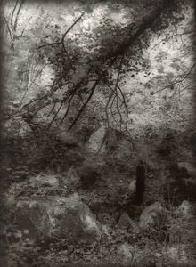 © Guido Paulussen