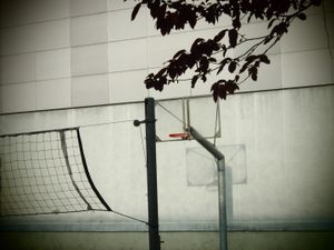 31: sport field