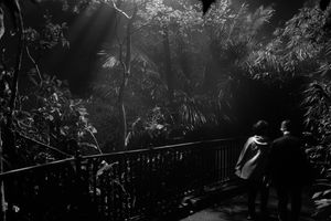 Victoria Peak | Hong Kong 2019