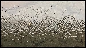 cause + effect -- 2 minute color HD video recorded slow motion 240 fps, (c) 2021LINK TO VIDEO: https://vimeo.com/user137919552
