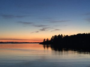 Peaceful majesty on the water