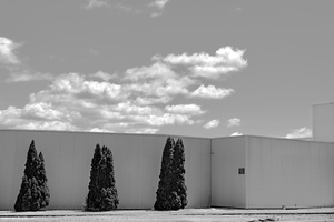 Three Arbs