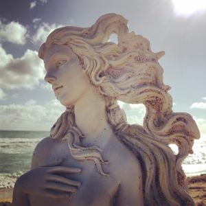 THE VENUS PROJECT