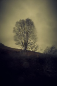 Isle Of Skye #1143
