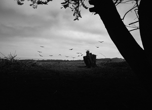 The vultures move away.