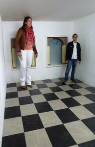 Distorting Perspective