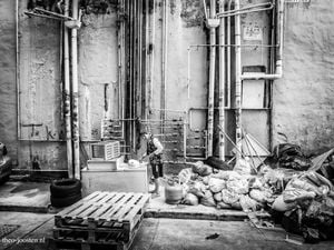 9 Kowloon City 2019 .JPG