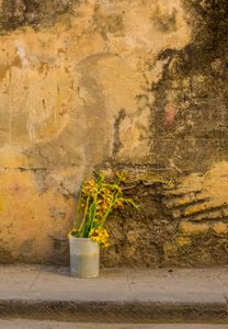 F-Emmanuel-Bastien-still-life-commerce in Cuba-9