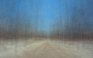 Path 6, 2011