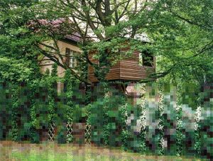 Treehouse, Former Wall Area Frohnau