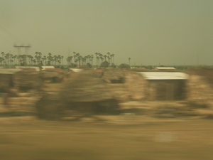 ORISSA ELLEGY 018