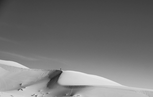Dune Walker