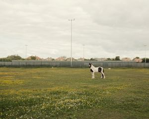 25.	Ashington