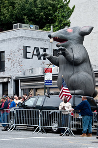 Urban Safari/ Empire Diner Rat