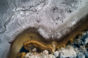 Lakeshore Operations | Ground Level Series #03