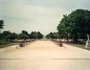 Jardin des Tuileries, 2013 © Ambroise Tezenas, Galerie melanieRio