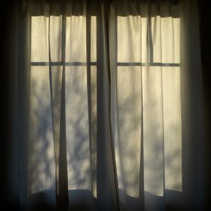 peter's window