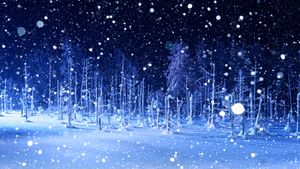 Snowy night part 1.