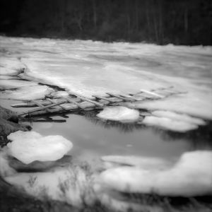 Untitled, 2018 (ref.3464)