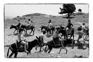 Lindos, Rhodoes, Rhodes, Tourists on Donkeys