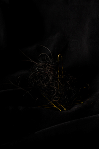 Penumbra