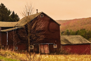 Working Farm-Delhi, NY