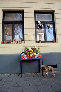 "STREET MEMORIAL"