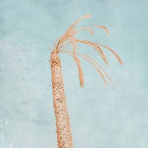 © Giovanni Presutti