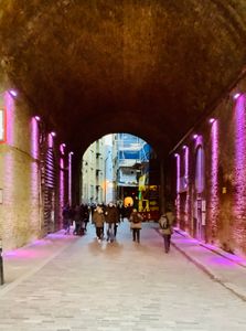 Purple Lights
