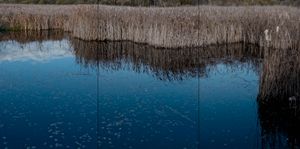 © 2013 Nicholas Adam Wojtas. All Rights Reserved.