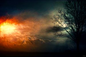 Expansion of consciousness 1