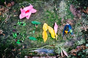 Gina