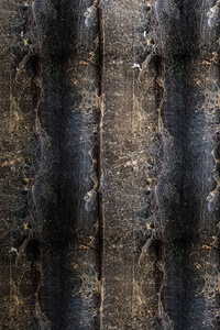 wooden fence 3